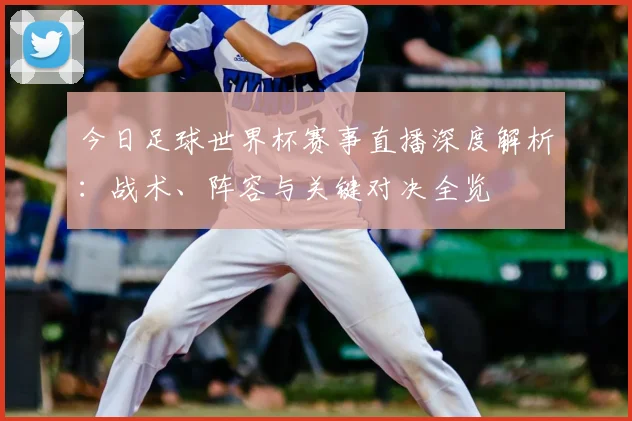 今日足球世界杯赛事直播深度解析：战术、阵容与关键对决全览